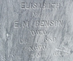 Elisabath <I>Vinson</I> Benson 