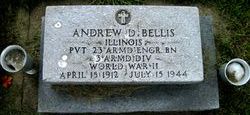 PVT Andrew D Bellis 