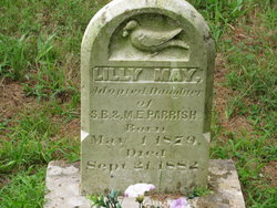 Lilly May Parrish 