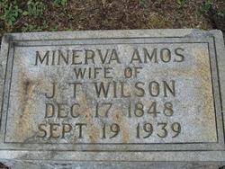Minerva <I>Amos</I> Wilson 