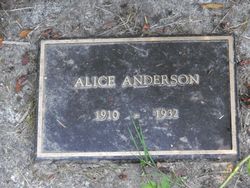 Alice Vivian Anderson 