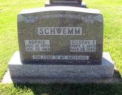 Gustav F Schwemm 