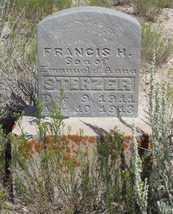 Francis H Sterzer 