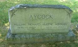 William Richard Aycock 