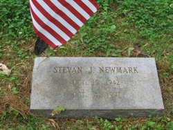 Stevan J Newmark 
