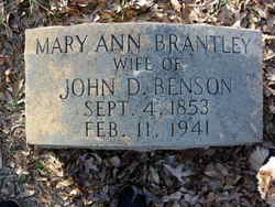Mary Ann Frances <I>Brantley</I> Benson 