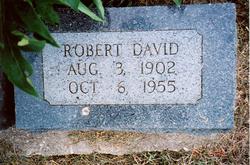Robert David Amis 