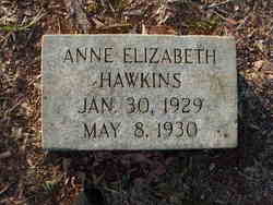 Anne Elizabeth Hawkins 