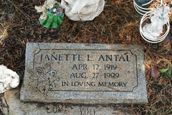 Janette L Antal 