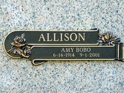 Amy <I>Bobo</I> Allison 