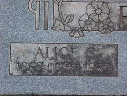 Alice Susannah <I>Beddes</I> Reed 