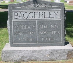 Andrew M Baggerley 