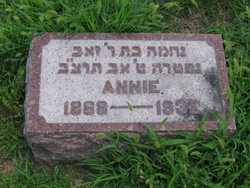 Annie <I>Perlik</I> Feinstein 