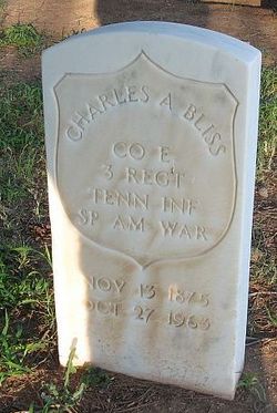 Charles Albert Bliss 