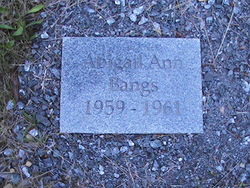 Abigail Ann Bangs 