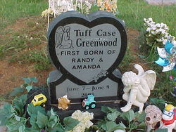Tuff Case Greenwood 