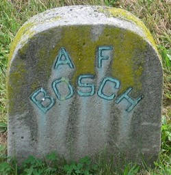 August Frank Bosch 