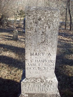 Mary Ann <I>Washam</I> Hawkins 