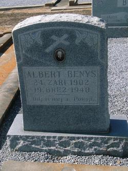 Albert Benys 
