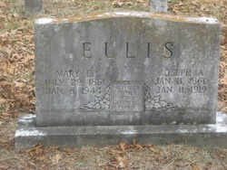 Mary Emily <I>Harris</I> Ellis 