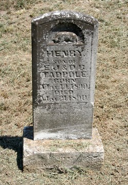 Henry Tadpole 