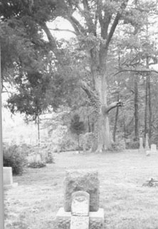 Old Trinity Springs Cemetery