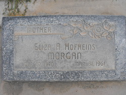 Eliza Ann <I>Hofheins</I> Morgan 