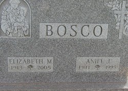 Aniel J. Bosco 
