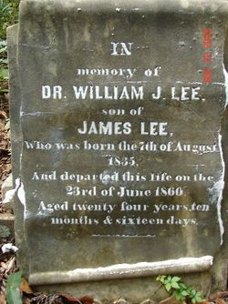 Dr William J. Lee 