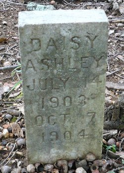 Daisy Ashley 
