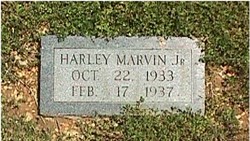Harley Landers Marvin 