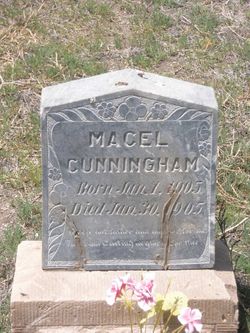 Macel Cunningham 