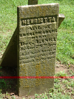 Henrietta Adams 