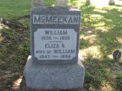 Eliza R. <I>Lane</I> McMeekan 