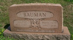 David E. Bauman 