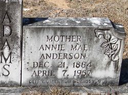 Annie Mae <I>Anderson</I> Adams 