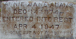 Annie Jane <I>Fann</I> Adams 