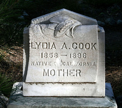 Lydia Ann <I>Penman</I> Cook 
