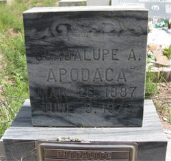 Guadalupe <I>Aragon</I> Apodaca 