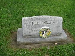 Robert E Hollenback 