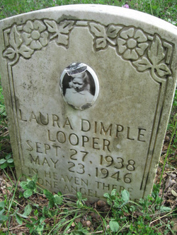 Laura Dimple Looper 