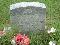 Evelyn June Jacobs 