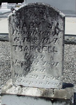 Mary J. Trapnell 