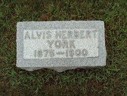 Alvis Herbert York 