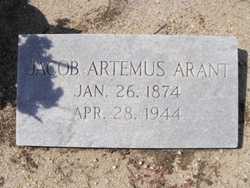 Jacob Artemus Arant Sr.