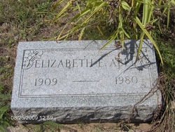 Elizabeth E Abel 