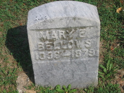 Mary E Bellows 