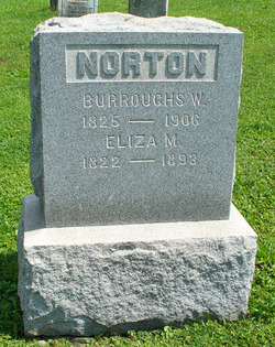 Eliza M Norton 