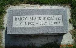 Harry Blackhorse Sr.