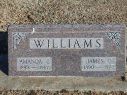 James Edward Williams 